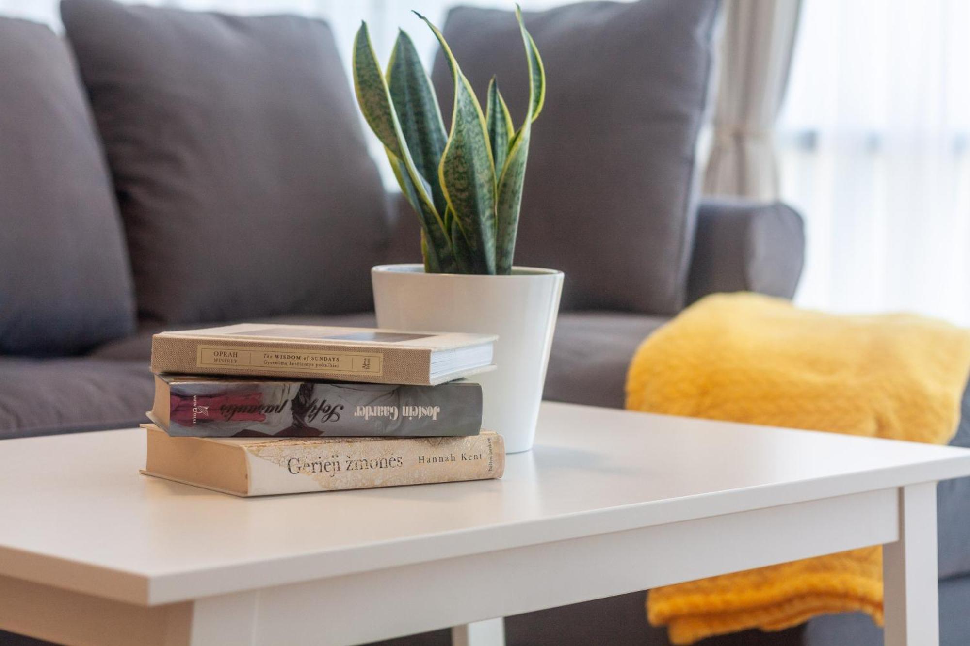 Elija Swan-Toy Apartments Šventoji Pokoj fotografie